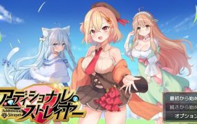 附加赌注/Additional Strayer（v1.1）