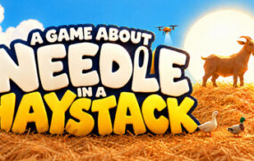 大海捞针/A Game About Needle In A Haystack